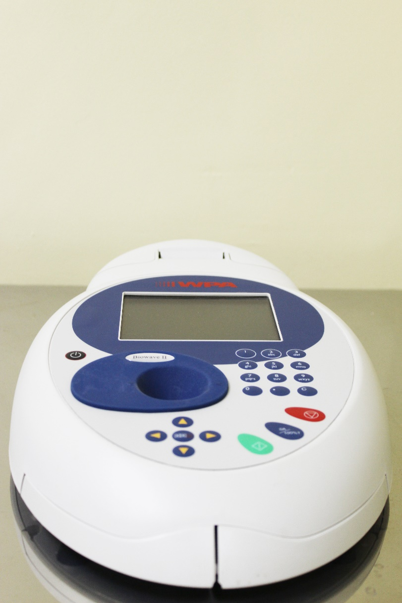 Wintry Mountain Landscape