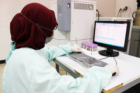 Yosemite National Park